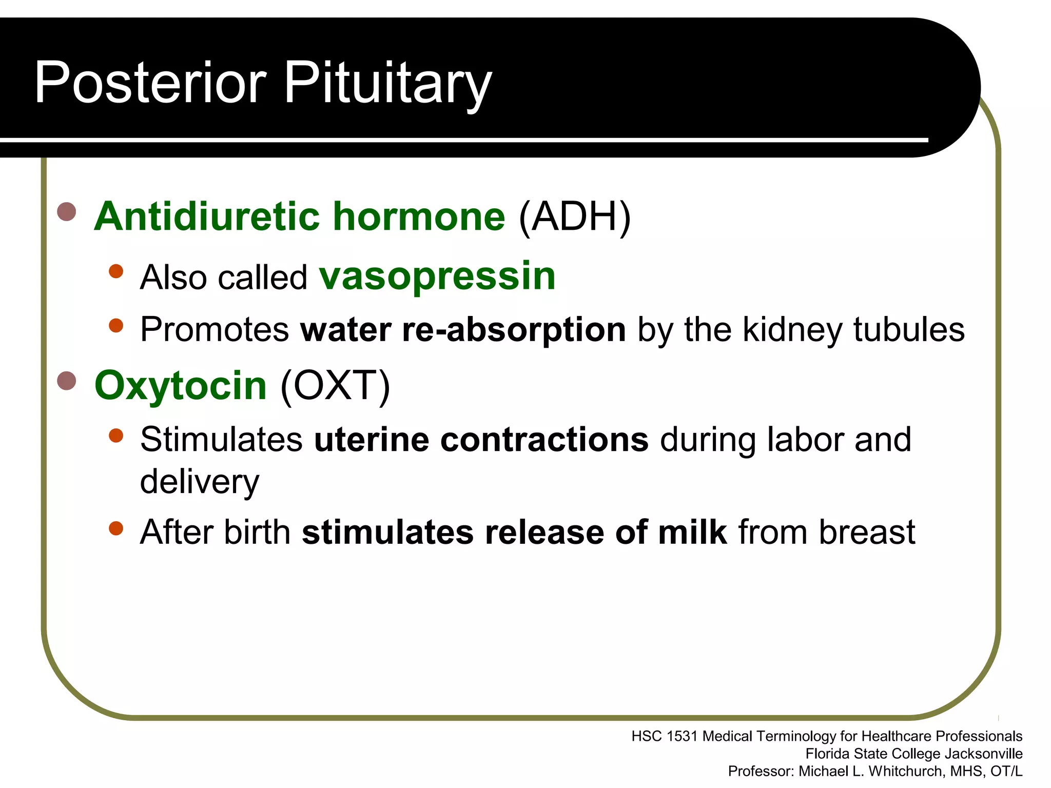 Endocrine System | PPT