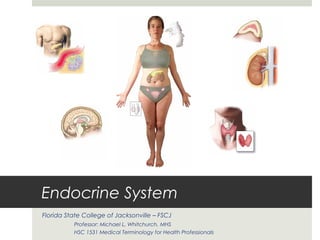 Endocrine System
Florida State College of Jacksonville – FSCJ
          Professor: Michael L. Whitchurch, MHS
          HSC 1531 Medical Terminology for Health Professionals
 