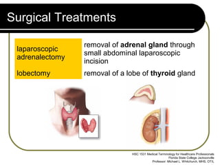 Surgical Treatments

                 removal of adrenal gland through
 laparoscopic
                 small abdominal laparoscopic
 adrenalectomy
                 incision
 lobectomy       removal of a lobe of thyroid gland




                               HSC 1531 Medical Terminology for Healthcare Professionals
                                                       Florida State College Jacksonville
                                           Professor: Michael L. Whitchurch, MHS, OT/L
 
