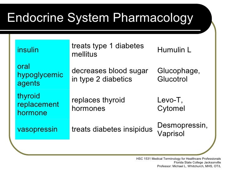 Endocrine System
