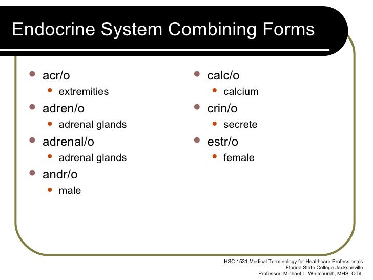 endocrine system combining form meaning curved