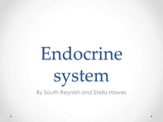Endocrine
  system
By South Reynish and Stella Hawes
 