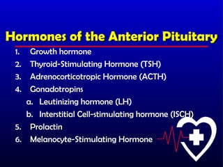 Hormones of the Anterior Pituitary
 1.  Growth hormone
 2.  Thyroid-Stimulating Hormone (TSH)
 3.  Adrenocorticotropic Hormone (ACTH)
 4.  Gonadotropins
    a. Leutinizing hormone (LH)
    b. Interstitial Cell-stimulating hormone (ISCH)
 5. Prolactin
 6. Melanocyte-Stimulating Hormone
 