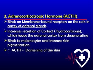 3. Adrenocorticotropic Hormone (ACTH)
 Binds on Membrane-bound receptors on the cells in
  cortex of adrenal glands.
 Increases secretion of Cortisol ( hydrocortisone),
  which keeps the adrenal cortex from degenerating
 Binds to melanocytes and increase skin
  pigmentation.
 ↑ ACTH - Darkening of the skin
 