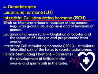 4. Gonadotropins
Leutinizing hormone (LH)
Interstitial Cell-stimulating hormone (ISCH)
Binds on Membrane-bound receptors of the gonads.
     Regulates growth, development and of functions of
     gonads
Leutinizing hormone (LH) – Ovulation of oocytes and
     the secretion of estrogen and progesterone from
     ovaries
Interstitial Cell-stimulating hormone (ISCH) – stimulates
     interstitial cells of the testes to secrete testosterone.
Follicle-Stimulating Hormone – Stimulates
     the development of follicles in the
     ovaries and sperm cells in the testes.
 