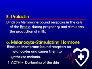5. Prolactin
Binds on Membrane-bound receptors in the cells
  of the Breast, during pregnancy and stimulates
  the production of milk.

6. Melanocyte-Stimulating Hormone
Binds on Membrane-bound receptors on
  melanocytes and causes them to
  synthesize melanin.
↑ ACTH - Darkening of the skin
 
