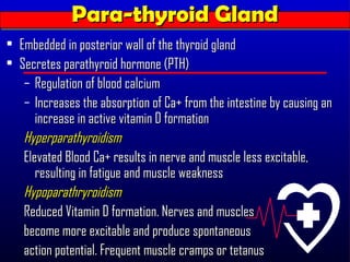 Para-thyroid Gland
             Para-thyroid Gland
• Embedded in posterior wall of the thyroid gland
• Secretes parathyroid hormone (PTH)
   – Regulation of blood calcium
   – Increases the absorption of Ca+ from the intestine by causing an
      increase in active vitamin D formation
   Hyperparathyroidism
   Elevated Blood Ca+ results in nerve and muscle less excitable,
      resulting in fatigue and muscle weakness
   Hypoparathryroidism
   Reduced Vitamin D formation. Nerves and muscles
   become more excitable and produce spontaneous
   action potential. Frequent muscle cramps or tetanus
 