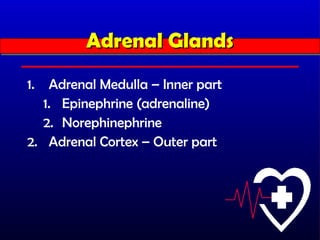 Adrenal Glands
         Adrenal Glands
1.  Adrenal Medulla – Inner part
   1. Epinephrine (adrenaline)
   2. Norephinephrine
2. Adrenal Cortex – Outer part
 