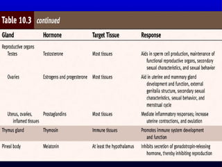 Endocrine system