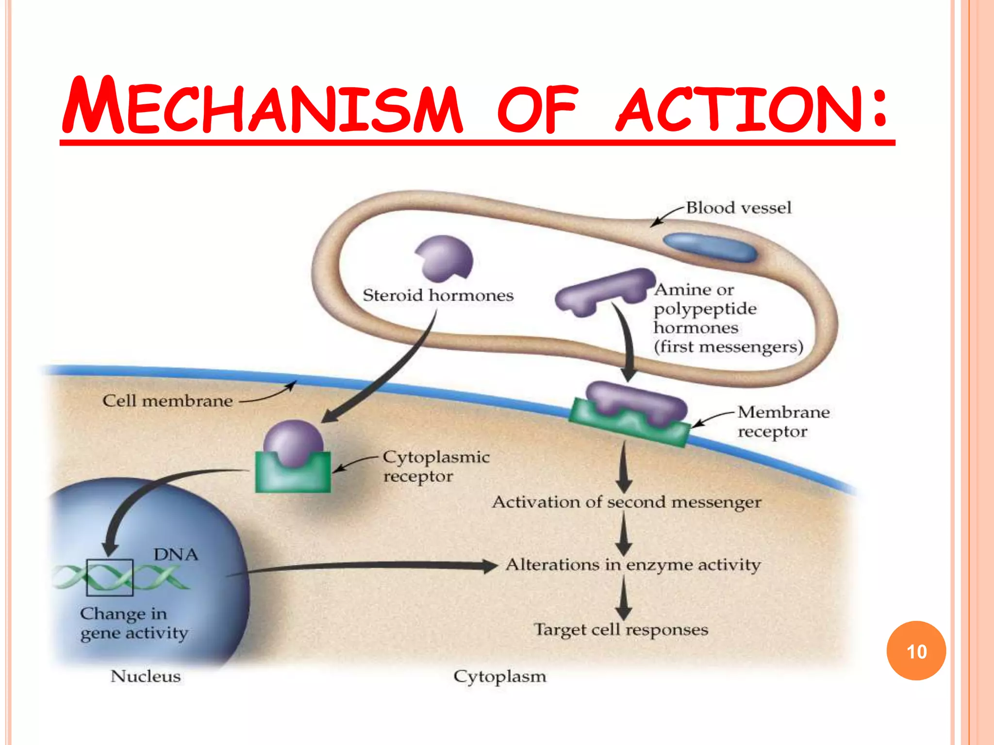 MECHANISM OF ACTION:




                       10
 