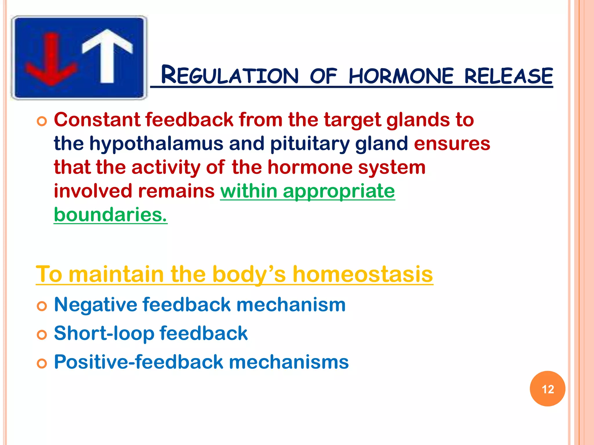 REGULATION OF HORMONE RELEASE
   Constant feedback from the target glands to
    the hypothalamus and pituitary gland ensures
    that the activity of the hormone system
    involved remains within appropriate
    boundaries.


To maintain the body’s homeostasis
 Negative feedback mechanism
 Short-loop feedback

 Positive-feedback mechanisms
                                                   12
 