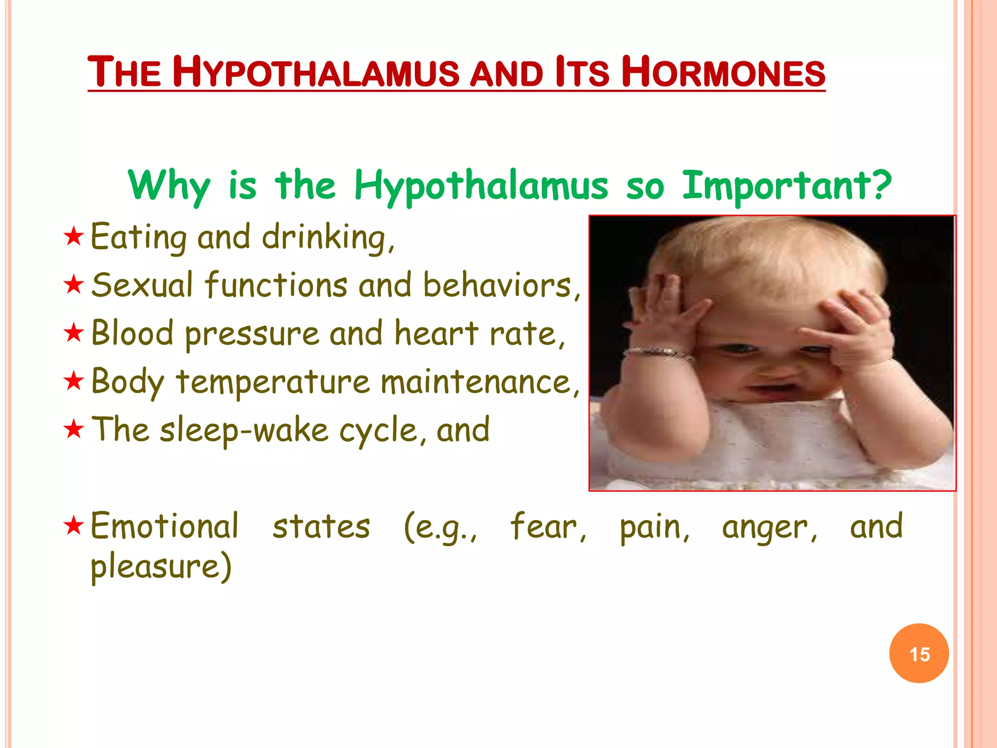THE HYPOTHALAMUS AND ITS HORMONES

    Why is the Hypothalamus so Important?
 Eating and drinking,
 Sexual functions and behaviors,
 Blood pressure and heart rate,
 Body temperature maintenance,
 The sleep-wake cycle, and


 Emotional   states (e.g., fear, pain, anger, and
 pleasure)

                                                     15
 