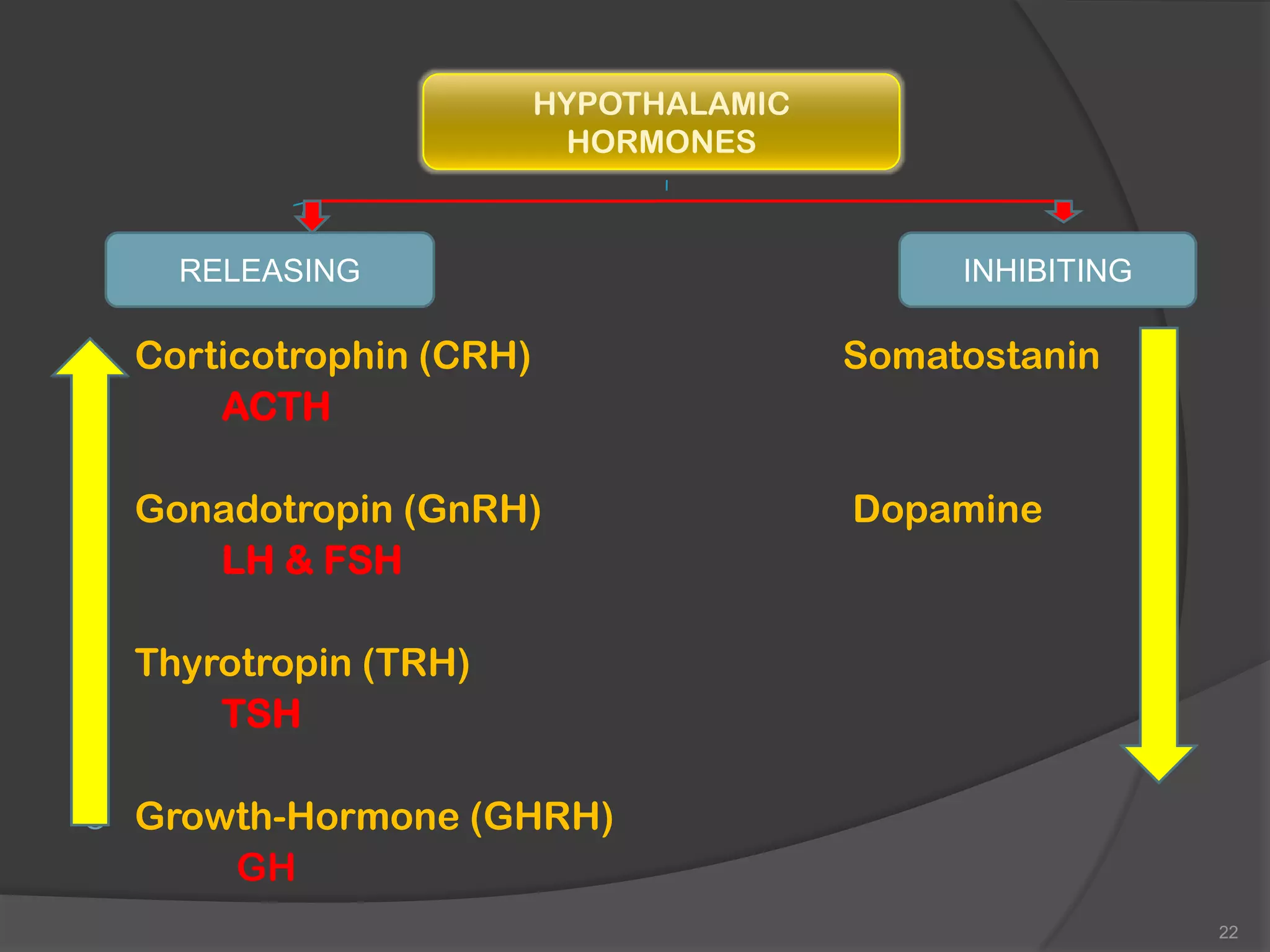 HYPOTHALAMIC
                          HORMONES



     RELEASING                               INHIBITING

 Corticotrophin (CRH)                  Somatostanin
     ACTH

 Gonadotropin (GnRH)                   Dopamine
    LH & FSH

 Thyrotropin (TRH)
     TSH

   Growth-Hormone (GHRH)
        GH
                                                          22
 