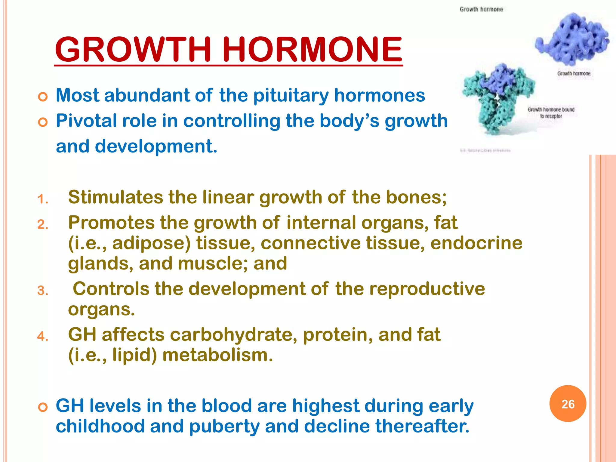 GROWTH HORMONE
    Most abundant of the pituitary hormones
    Pivotal role in controlling the body’s growth
     and development.

1.    Stimulates the linear growth of the bones;
2.    Promotes the growth of internal organs, fat
      (i.e., adipose) tissue, connective tissue, endocrine
      glands, and muscle; and
3.     Controls the development of the reproductive
      organs.
4.    GH affects carbohydrate, protein, and fat
      (i.e., lipid) metabolism.

    GH levels in the blood are highest during early         26
     childhood and puberty and decline thereafter.
 