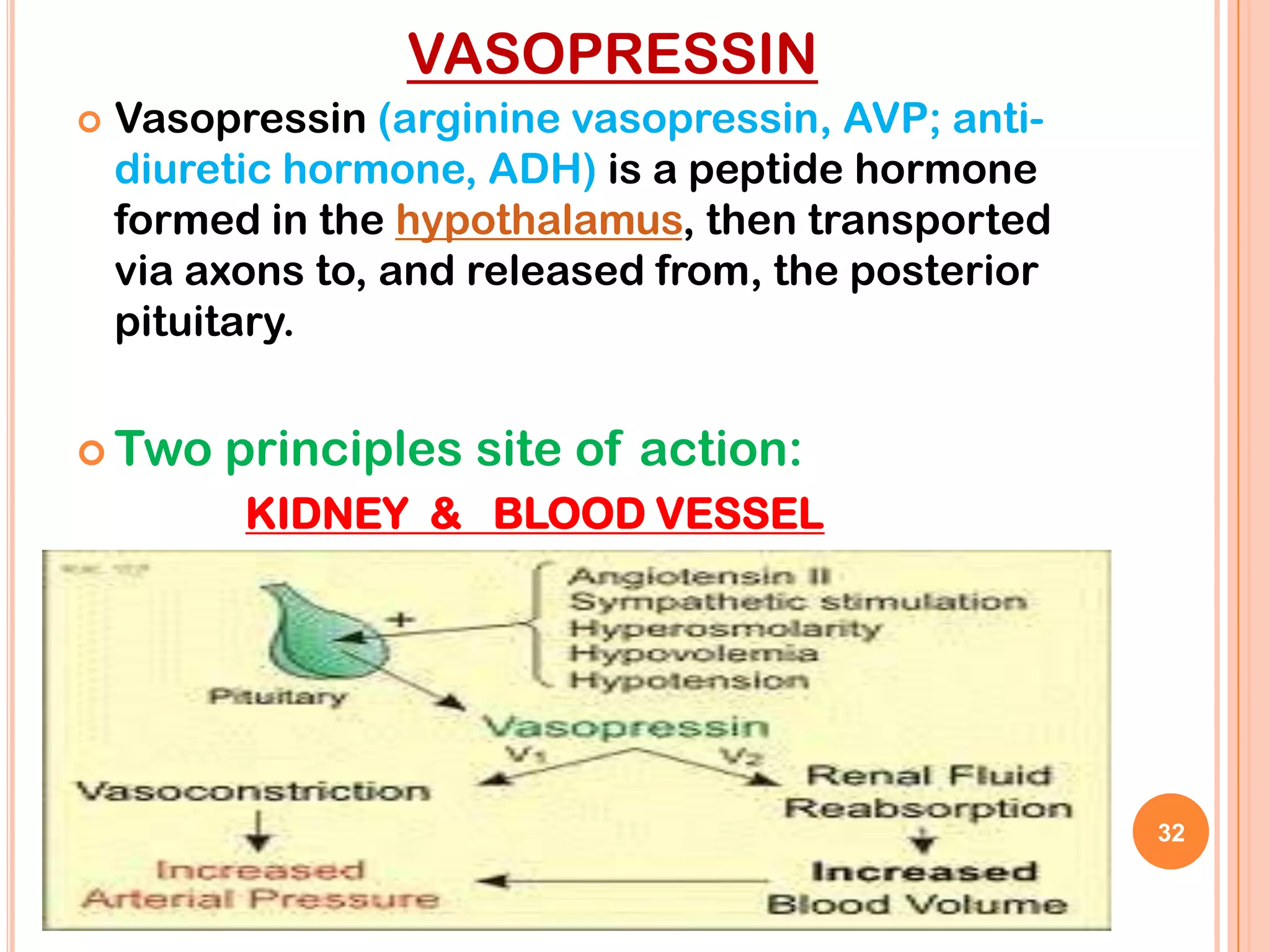 VASOPRESSIN
   Vasopressin (arginine vasopressin, AVP; anti-
    diuretic hormone, ADH) is a peptide hormone
    formed in the hypothalamus, then transported
    via axons to, and released from, the posterior
    pituitary.


 Two    principles site of action:
          KIDNEY & BLOOD VESSEL




                                                     32
 