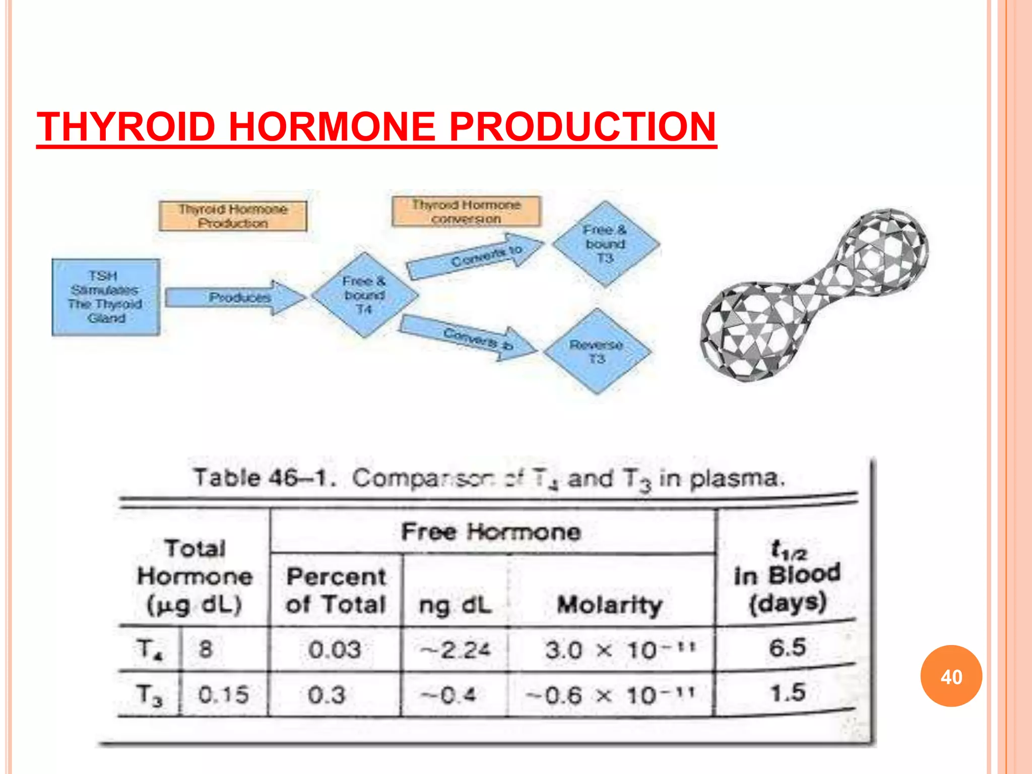 THYROID HORMONE PRODUCTION




                             40
 