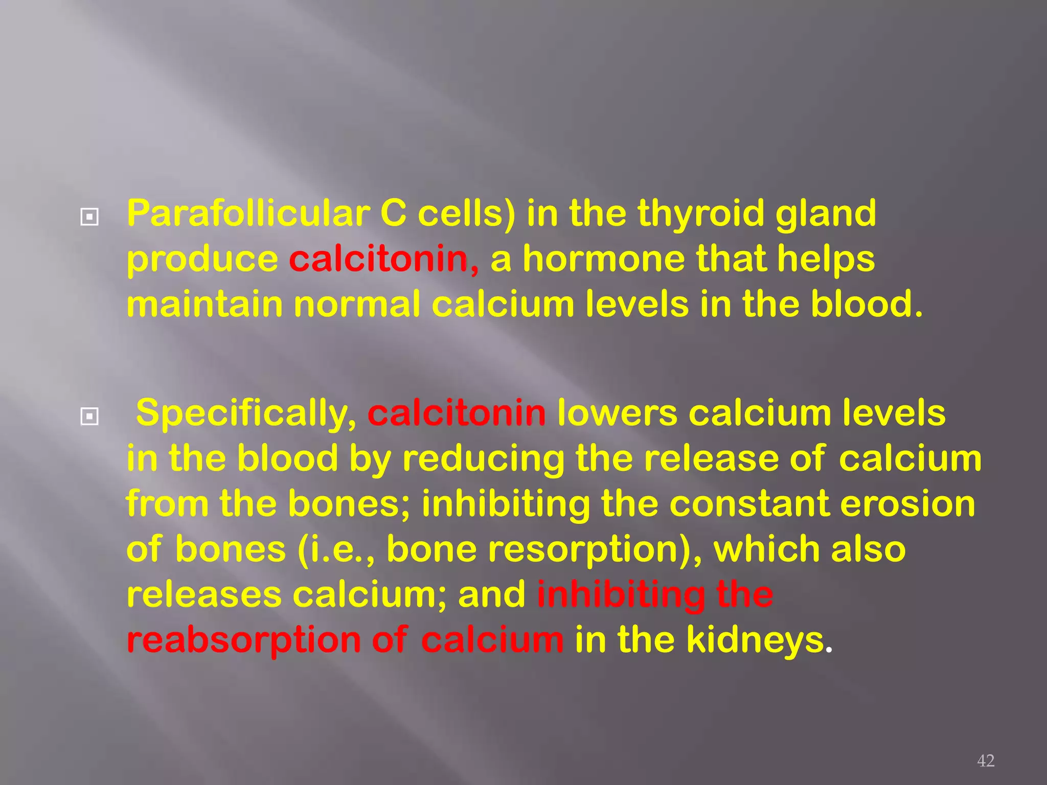    Parafollicular C cells) in the thyroid gland
    produce calcitonin, a hormone that helps
    maintain normal calcium levels in the blood.

    Specifically, calcitonin lowers calcium levels
    in the blood by reducing the release of calcium
    from the bones; inhibiting the constant erosion
    of bones (i.e., bone resorption), which also
    releases calcium; and inhibiting the
    reabsorption of calcium in the kidneys.


                                                   42
 