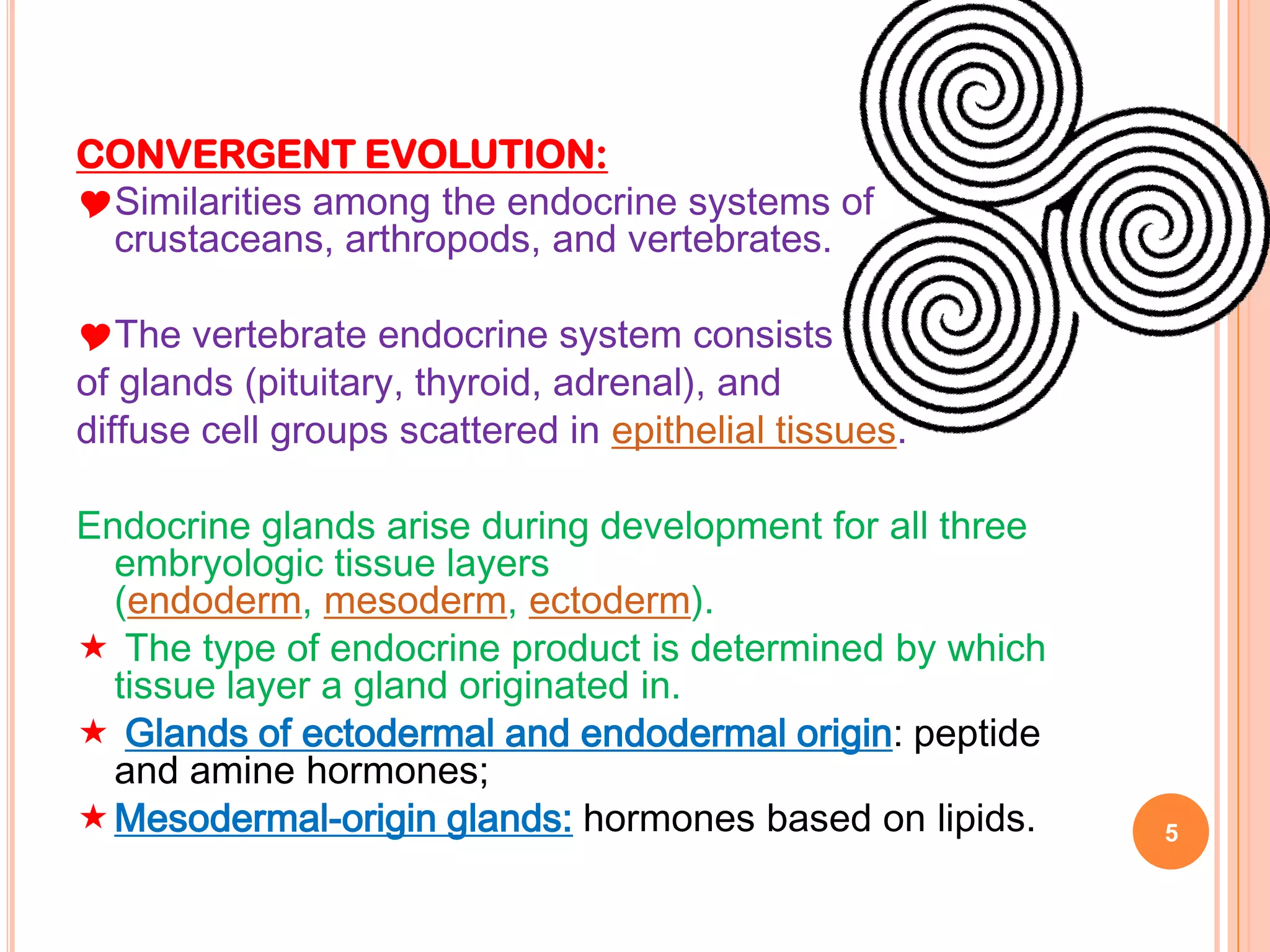 CONVERGENT EVOLUTION:
Similarities among the endocrine systems of
 crustaceans, arthropods, and vertebrates.

The vertebrate endocrine system consists
of glands (pituitary, thyroid, adrenal), and
diffuse cell groups scattered in epithelial tissues.

Endocrine glands arise during development for all three
  embryologic tissue layers
  (endoderm, mesoderm, ectoderm).
 The type of endocrine product is determined by which
  tissue layer a gland originated in.
 Glands of ectodermal and endodermal origin: peptide
  and amine hormones;
 Mesodermal-origin glands: hormones based on lipids.     5
 
