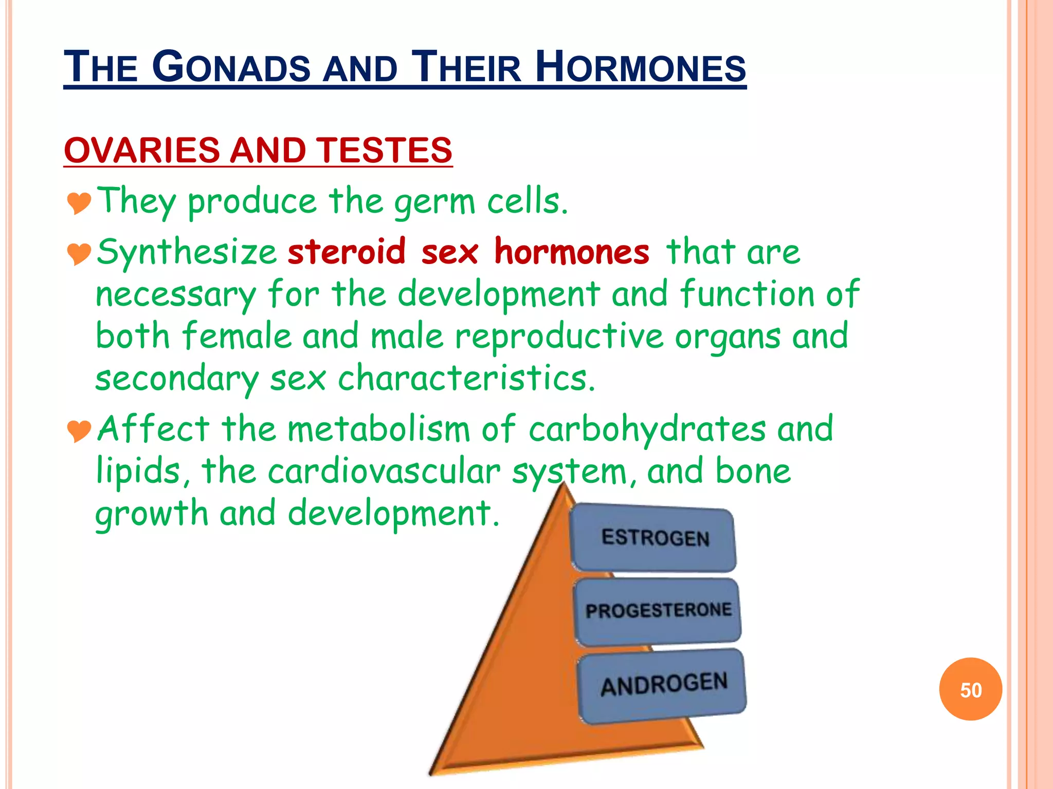 THE GONADS AND THEIR HORMONES
OVARIES AND TESTES
They produce the germ cells.
Synthesize steroid sex hormones that are
 necessary for the development and function of
 both female and male reproductive organs and
 secondary sex characteristics.
Affect the metabolism of carbohydrates and
 lipids, the cardiovascular system, and bone
 growth and development.



                                                 50
 