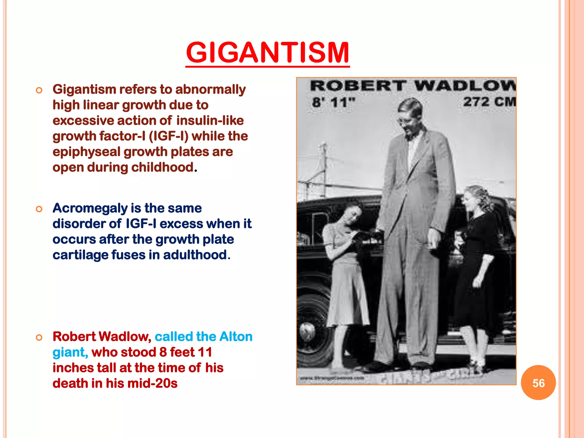 GIGANTISM
   Gigantism refers to abnormally
    high linear growth due to
    excessive action of insulin-like
    growth factor-I (IGF-I) while the
    epiphyseal growth plates are
    open during childhood.


   Acromegaly is the same
    disorder of IGF-I excess when it
    occurs after the growth plate
    cartilage fuses in adulthood.




   Robert Wadlow, called the Alton
    giant, who stood 8 feet 11
    inches tall at the time of his
    death in his mid-20s                56
 