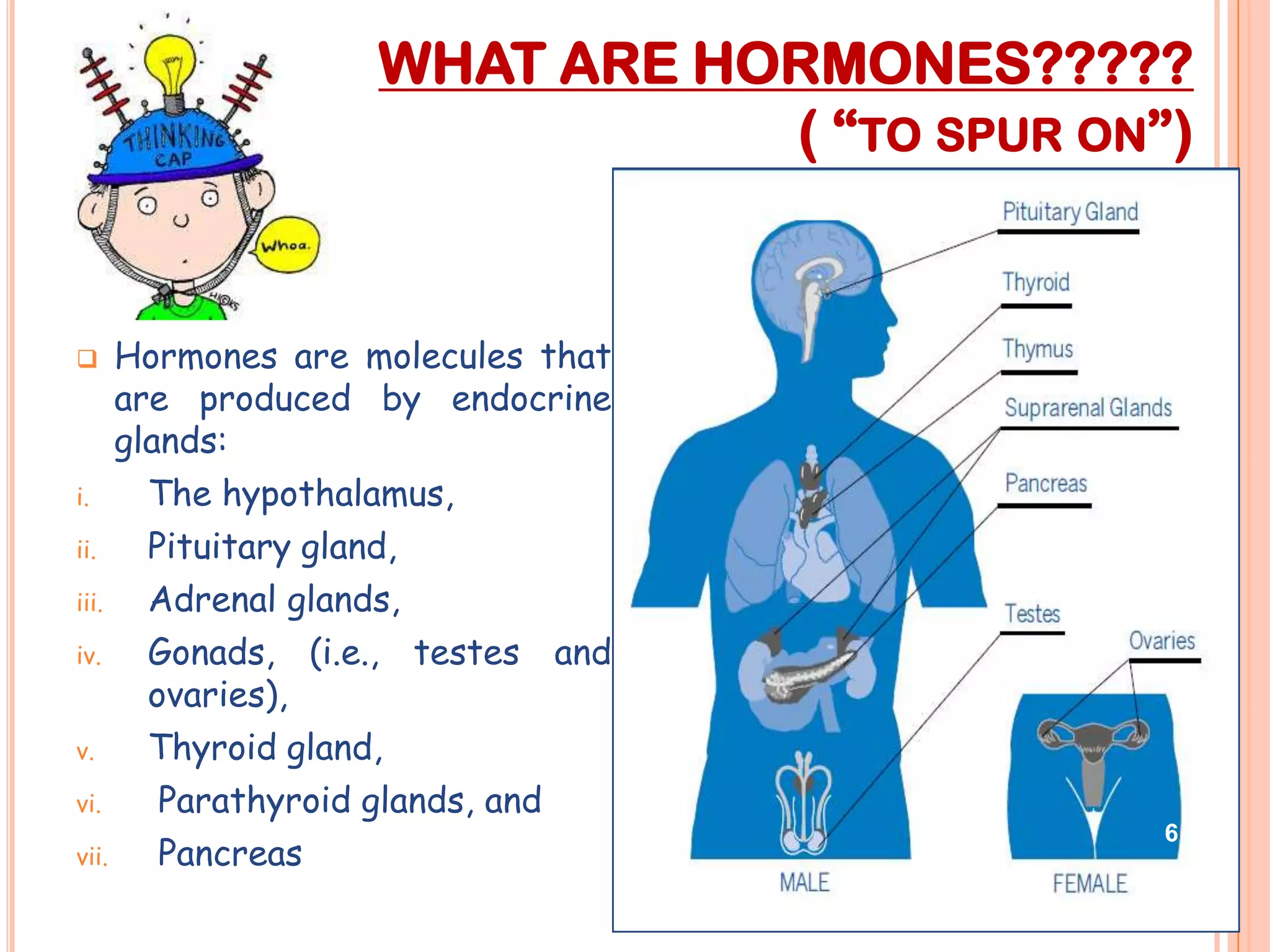 WHAT ARE HORMONES?????
                             ( “TO SPUR ON”)


    Hormones are molecules that
     are produced by endocrine
     glands:
i.     The hypothalamus,
ii.    Pituitary gland,
iii.   Adrenal glands,
iv.    Gonads, (i.e., testes and
       ovaries),
v.     Thyroid gland,
vi.     Parathyroid glands, and
                                           6
vii.    Pancreas
 