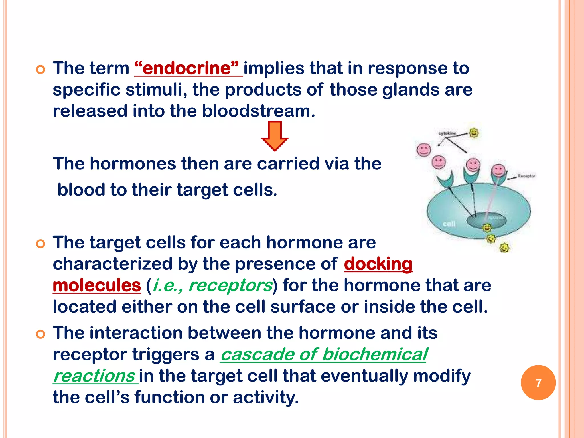    The term “endocrine” implies that in response to
    specific stimuli, the products of those glands are
    released into the bloodstream.

    The hormones then are carried via the
    blood to their target cells.

   The target cells for each hormone are
    characterized by the presence of docking
    molecules (i.e., receptors) for the hormone that are
    located either on the cell surface or inside the cell.
   The interaction between the hormone and its
    receptor triggers a cascade of biochemical
    reactions in the target cell that eventually modify      7
    the cell’s function or activity.
 