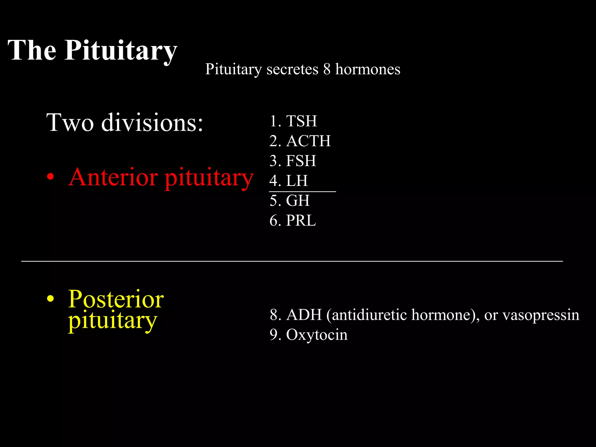 The Pituitary          Pituitary secretes 8 hormones


   Two divisions:               1. TSH
                                2. ACTH
                                3. FSH
   • Anterior pituitary         4. LH
                                ________
                                5. GH
                                6. PRL
 _________________________________________________________________


   • Posterior
     pituitary                  8. ADH (antidiuretic hormone), or vasopressin
                                9. Oxytocin
 
