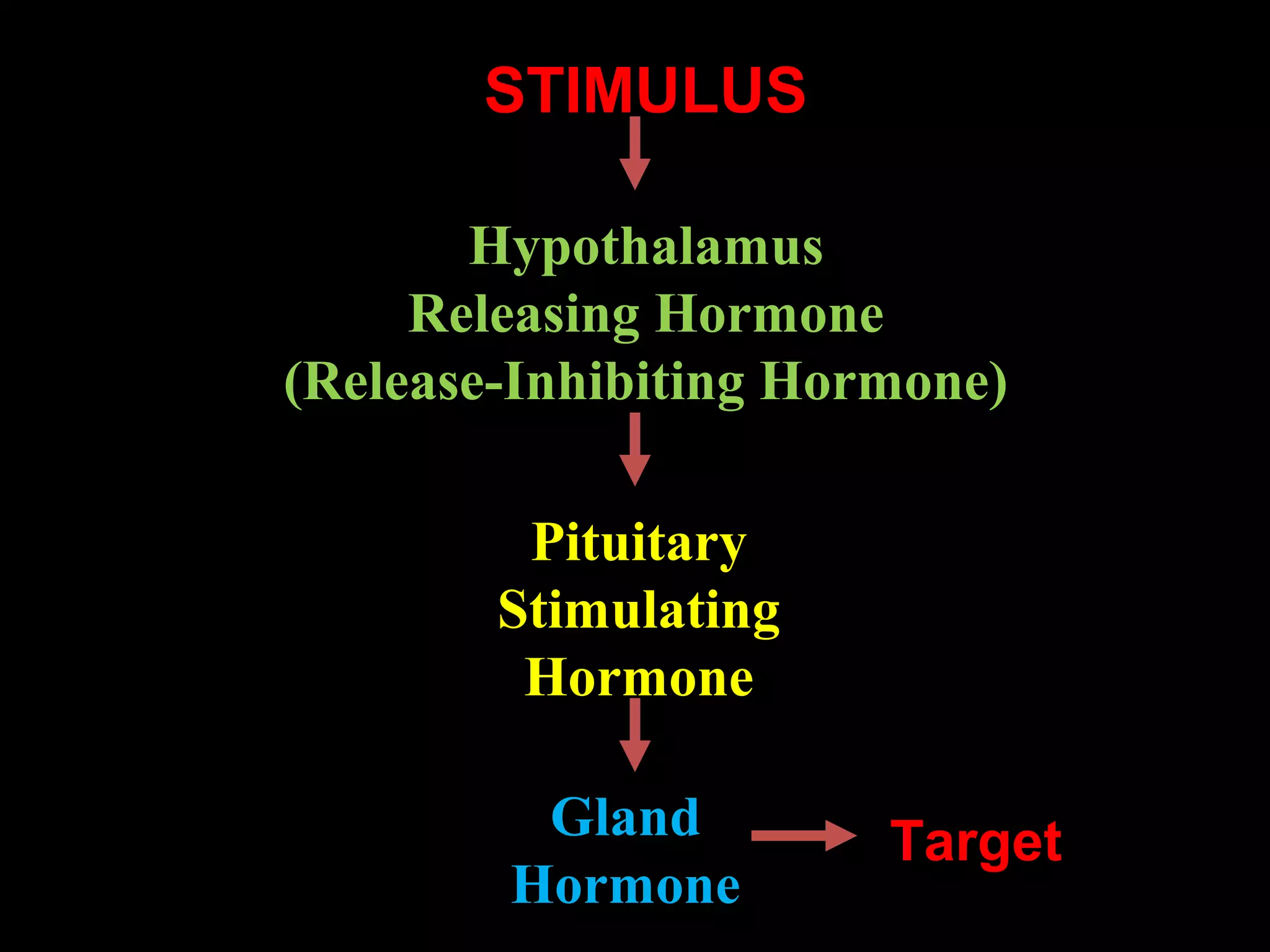 STIMULUS

       Hypothalamus
     Releasing Hormone
(Release-Inhibiting Hormone)

         Pituitary
        Stimulating
         Hormone

         Gland         Target
        Hormone
 