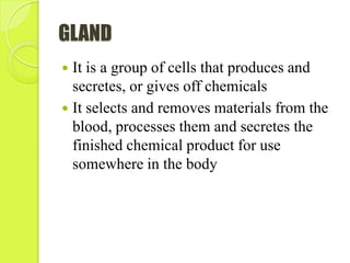 GLAND
 It is a group of cells that produces and
secretes, or gives off chemicals
 It selects and removes materials from the
blood, processes them and secretes the
finished chemical product for use
somewhere in the body
 