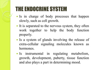 THE ENDOCRINE SYSTEM
 Is in charge of body processes that happen
slowly, such as cell growth.
 It is separated to the nervous system, they often
work together to help the body function
properly.
 Is a system of glands involving the release of
extra-cellular signaling molecules known as
hormones.
 Is instrumental in regulating metabolism,
growth, development, puberty, tissue function
and also plays a part in determining mood.
 