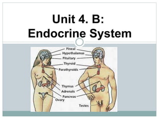 Unit 4. B:
Endocrine System
 