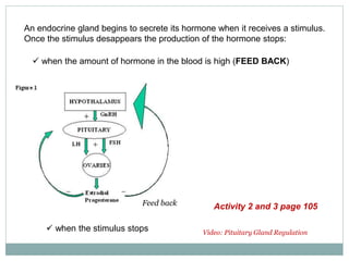 An endocrine gland begins to secrete its hormone when it receives a stimulus.
Once the stimulus desappears the production of the hormone stops:
 when the amount of hormone in the blood is high (FEED BACK)
Feed back
 when the stimulus stops Video: Pituitary Gland Regulation
Activity 2 and 3 page 105
 