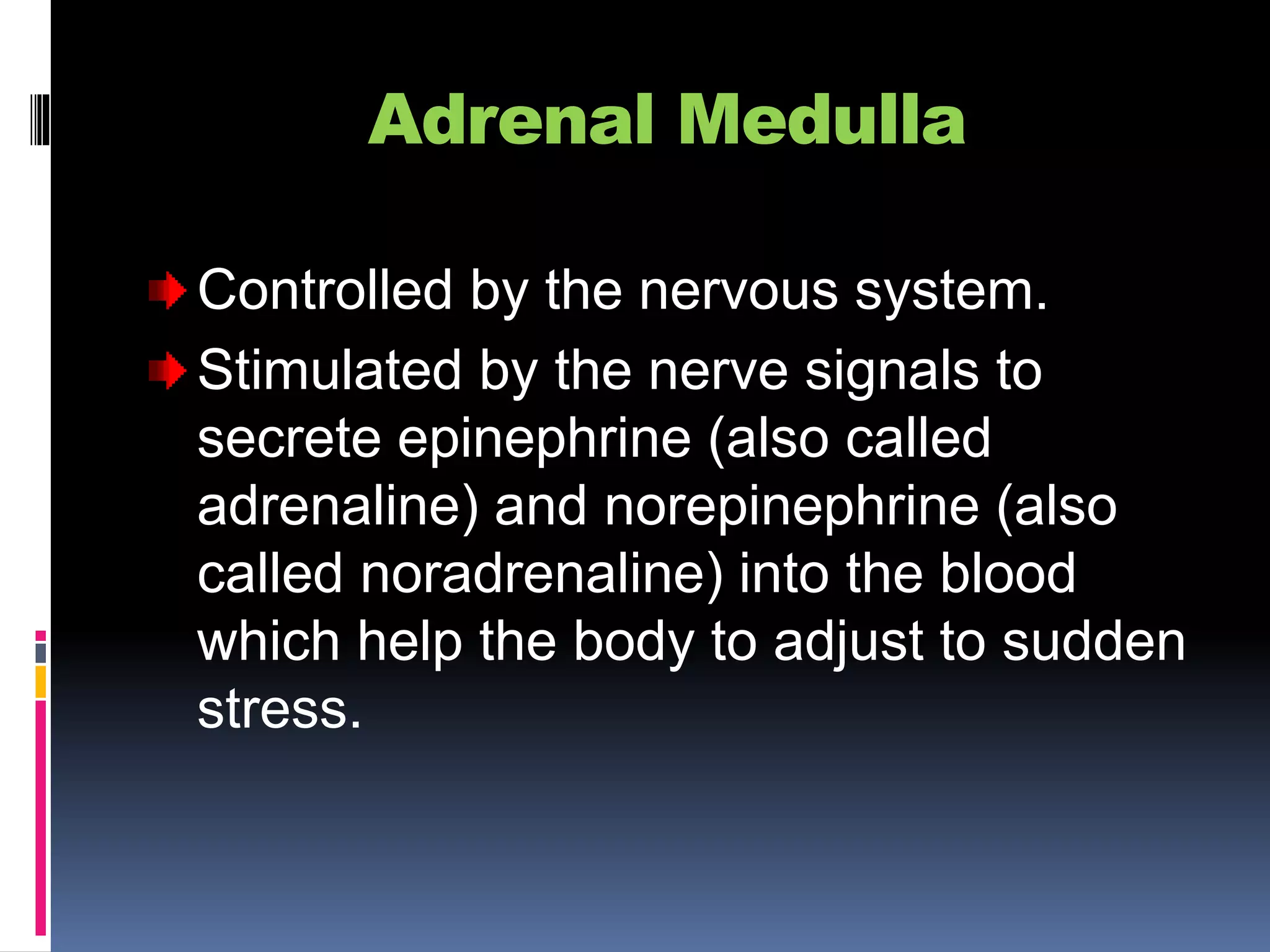 Adrenal Medulla
Controlled by the nervous system.
Stimulated by the nerve signals to
secrete epinephrine (also called
adrenaline) and norepinephrine (also
called noradrenaline) into the blood
which help the body to adjust to sudden
stress.
 