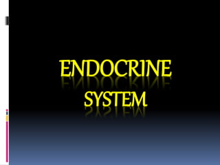 ENDOCRINE
SYSTEM
 