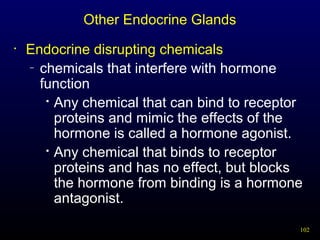 102
Other Endocrine Glands
• Endocrine disrupting chemicals
– chemicals that interfere with hormone
function

Any chemical that can bind to receptor
proteins and mimic the effects of the
hormone is called a hormone agonist.

Any chemical that binds to receptor
proteins and has no effect, but blocks
the hormone from binding is a hormone
antagonist.
 