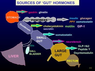 111
SOURCES OF ‘GUT’ HORMONES
RECTUM
LIVER
PANCREAS
GALL
BLADDER
STOMACH
SMALL
GUT
LARGE
GUT
Bile
gastrin ghrelin
Duodenum
cholecystokinin motilin
somatostatin
neurotensin
GIP-1
GLP-1&2
Peptide Y
insulin glucagon
PPY somatostatin
secretin
Oxyntomodulin
 