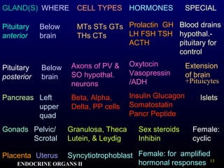 13
GLAND(S) WHERE CELL TYPES HORMONES SPECIAL
Pituitary
posterior
Axons of PV &
SO hypothal.
neurons
Oxytocin
Vasopressin
/ADH
Extension
of brain
Pancreas Left
upper
quad
Beta, Alpha,
Delta, PP cells
Insulin Glucagon
Somatostatin
Pancr Peptide
Gonads Pelvic/
Scrotal
Granulosa, Theca
Lutein, & Leydig
Sex steroids
Inhibin
Placenta Uterus Syncytiotrophoblast Female: for amplified
hormonal responses
Female:
cyclic
Pituitary
anterior
Below
brain
MTs STs GTs
THs CTs
Blood drains
hypothal.-
pituitary for
control
Prolactin GH
LH FSH TSH
ACTH
Below
brain
Islets
+Pituicytes
s
ENDOCRINE ORGANS II
 