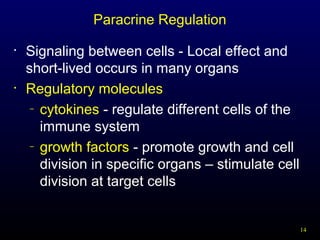 14
Paracrine Regulation
• Signaling between cells - Local effect and
short-lived occurs in many organs
• Regulatory molecules
– cytokines - regulate different cells of the
immune system
– growth factors - promote growth and cell
division in specific organs – stimulate cell
division at target cells
 