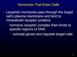 16
Hormones That Enter Cells
• Lipophilic hormones pass through the target
cell’s plasma membrane and bind to
intracellular receptor proteins.
– hormone receptor complex then binds to
specific regions of DNA

activate genes and regulate target cells
 