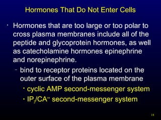 18
Hormones That Do Not Enter Cells
• Hormones that are too large or too polar to
cross plasma membranes include all of the
peptide and glycoprotein hormones, as well
as catecholamine hormones epinephrine
and norepinephrine.
– bind to receptor proteins located on the
outer surface of the plasma membrane

cyclic AMP second-messenger system
 IP3/CA++
second-messenger system
 