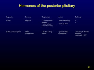 24
Hormones of the posterior pituitary
Regulation Hormone Target organ Action Pathology
Reflex Oxytocin - Uterus (smooth
muscle)
- breast tubules
(smooth muscles)
-labor and delivery
- milk-let down
--
--
Reflex (osmoreceptor) ADH
(vasopressin)
- DCT in kidney
tubules
- promote H2O
reabsorption
- not enough: diabetes
insipidus
- too much: ↑ BP?
 