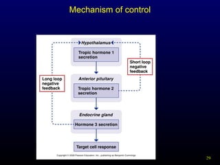 29Figure 6.6
Mechanism of control
 