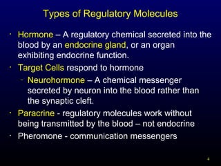 4
Types of Regulatory Molecules
• Hormone – A regulatory chemical secreted into the
blood by an endocrine gland, or an organ
exhibiting endocrine function.
• Target Cells respond to hormone
– Neurohormone – A chemical messenger
secreted by neuron into the blood rather than
the synaptic cleft.
• Paracrine - regulatory molecules work without
being transmitted by the blood – not endocrine
• Pheromone - communication messengers
 