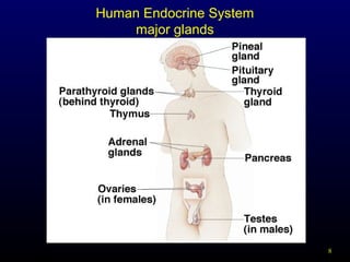 8
Human Endocrine System
major glands
 