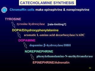 86
CATECHOLAMINE SYNTHESIS
Chromaffin cells make epinephrine & norepinephrine
TYROSINE
tyrosine hydroxylase
DOPA/Dihydroxyphenylalanine
DOPAMINE
aromatic L-amino acid decarboxylase/AADC
dopamine β-hydroxylase/DBH
NOREPINEPHRINE
EPINEPHRINE/Adrenalin
phenylethanolamine-N-methyltransferase
[rate-limiting?]
 