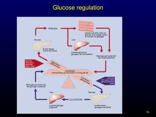 96
Glucose regulation
 