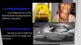 Endocrine system | PPTX