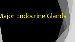 Major Endocrine Glands 
 