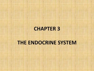 CHAPTER 3
THE ENDOCRINE SYSTEM
 