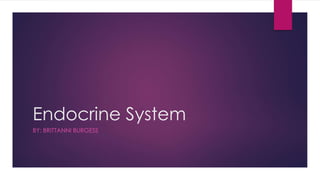 Endocrine System
BY: BRITTANNI BURGESS
 